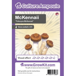 Mckennaii champignons magiques spores