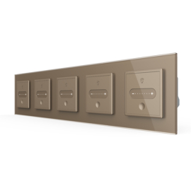 Livolo | Goud | SR | 5 | Slide-Dimmer