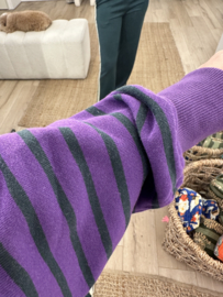 Stripe sweater pull Azzurro - purple/dark green