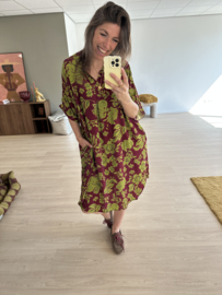 Print V-pocket dress Azzurro - bordeaux/green