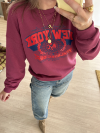 New york sweater - plum