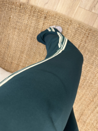 Stripe pants Azzurro - dark green