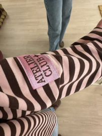 Stripe emblem text longsleeve - dark brown/pink light