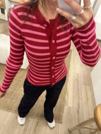 Stripe rib pull Azzurro - red/pink