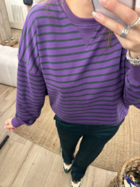 Stripe sweater pull Azzurro - purple/dark green