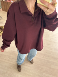 Soft polo pull - aubergine/bordeaux