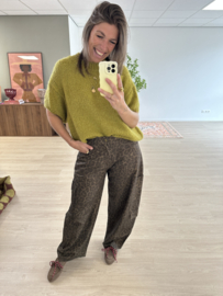 Print cargo barrel pants Azzurro - dark brown