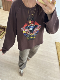Eagle sweater pull - dark brown