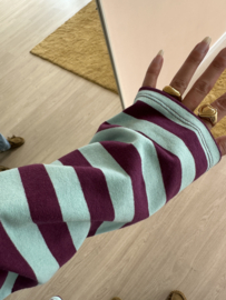 Stripe text longsleeve - aqua/purple