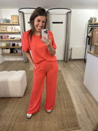 Basic pants Azzurro - coral