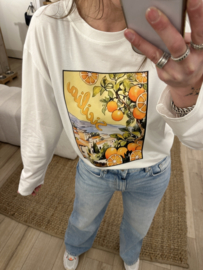 Print longsleeve Azzurro - white