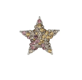 Broche - star multi