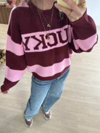 Knitted stripe lucky pull Azzurro - bordeaux/pink
