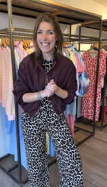 Short jacket - bordeaux
