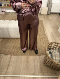 Shine pants Azzurro - rosé