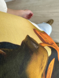 Dog tee - bag teckel