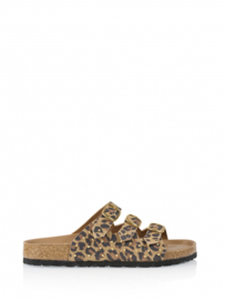 DWRS LABEL Komodo slippers - panter