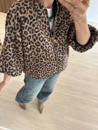 Panter sportive jacket - brown