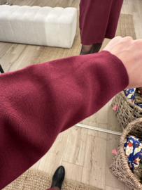 Zip pull dress Azzurro - bordeaux