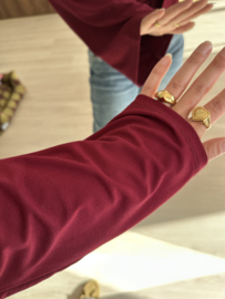 Smog longsleeve Azzurro - bordeaux