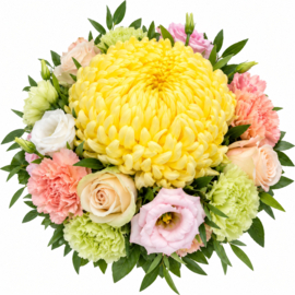 M2 - 1 gele bolchrysant
