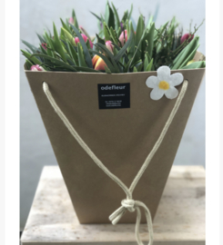 boeket tulpen in kraft zak (gevuld met water)