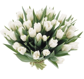 boeket witte tulpen