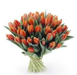 boeket oranje tulpen