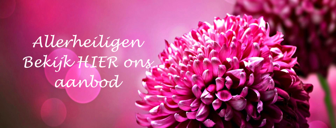 Allerheiligen
