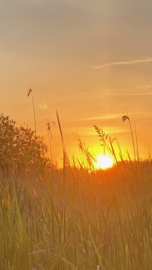 19 tot en met 22 september 2025
