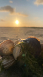 11 tot en met 14 april 2025
