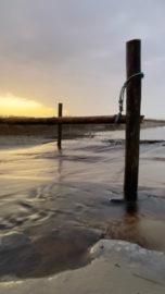 4 tot en met 8 augustus 2025