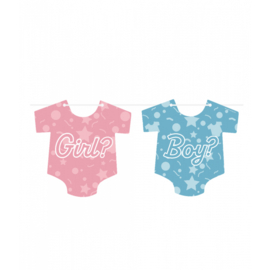 Flag Banner Gender Reveal