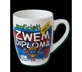 Cartoonmok Zwemdiploma