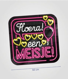 Huldeschild neon Hoera een meisje