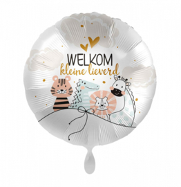 031 - Folieballon Welkom kleine lieverd