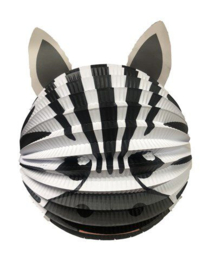 Bollampion zebra