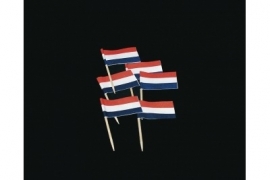 Vlagprikkers Nederland