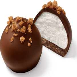 VandenBulcke Belgische Petit Melo Melk Speculoos