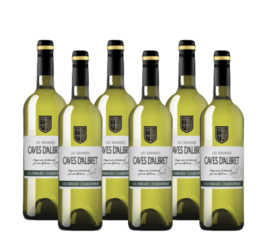 Caves d'Albret Colombard-Chardonnay (Wit, Frankrijk) Doos