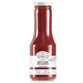 Biagi Ketchup Picante