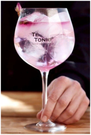 Gin & Tonic Gin Infusions /Botanicals 5 st. + 10 rozen