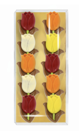 Blister Tulpen gekleurd Melk Chocolade