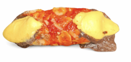 Verse Cannoli Croccante Arancello (Sinaasappel)