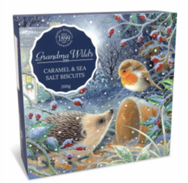 Woodland Robin Hedgehog Box (Karton)