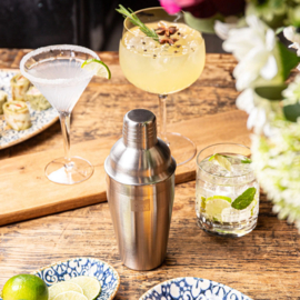 Vacuvin Cocktail Shaker Stainless Steel 550 ml. RVS