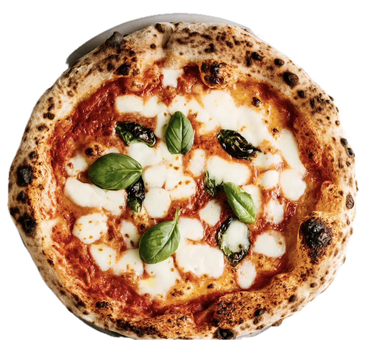 Van Lemmen Verse Pizza Deegbol (Winkel afhalen*)