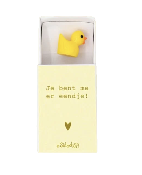 Doosje: Eendje: Je bent me er Eendje!