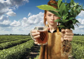 Local Tea Gember Kick Thee (18 zakjes)