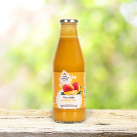 Puur 100% Mango -  Ananas Sap.